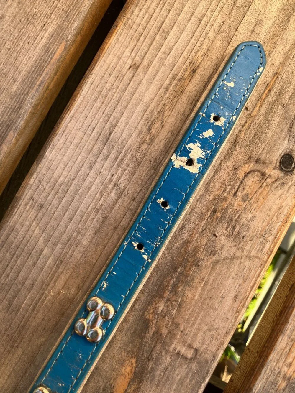 🐶💙 Blue Leather Studded Dog Collar | Silver Bone Studs | Thick Padded Collar |
